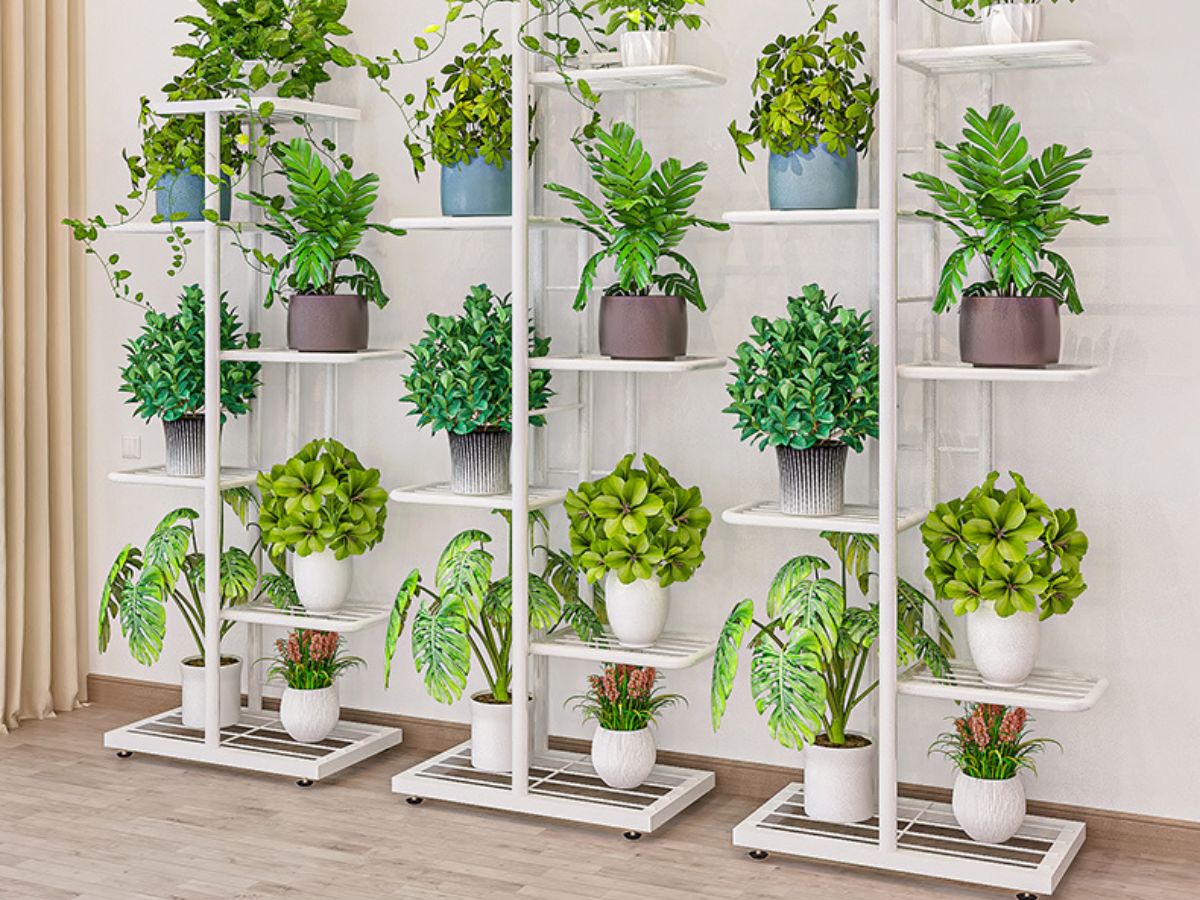 Top 10 Best Plant Stands Reviews and Buying Guide