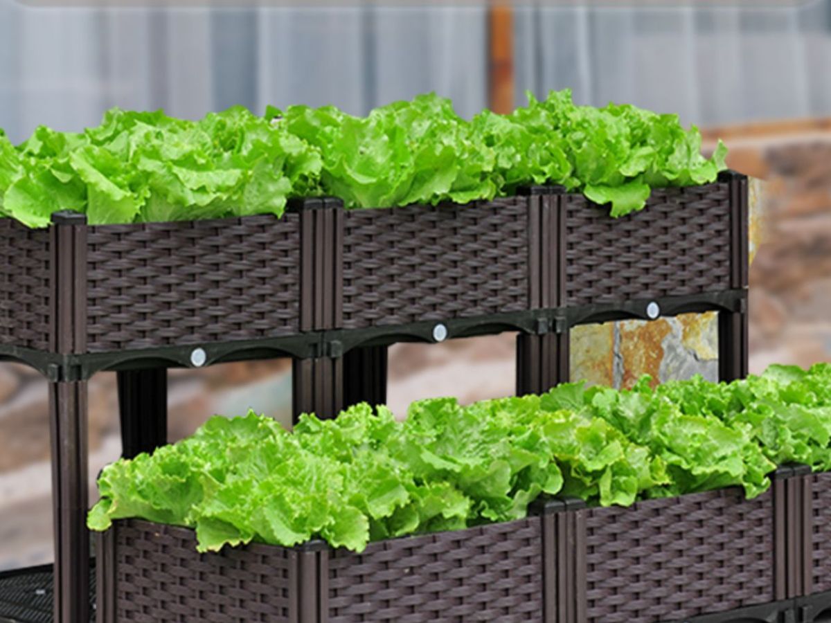 Top 10 Best Planters Reviews