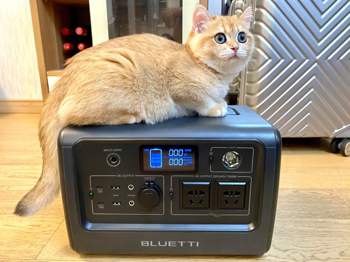 A silver shaded British shorthair cat is sitting on the BLUETTI EB70S Portable Power Station