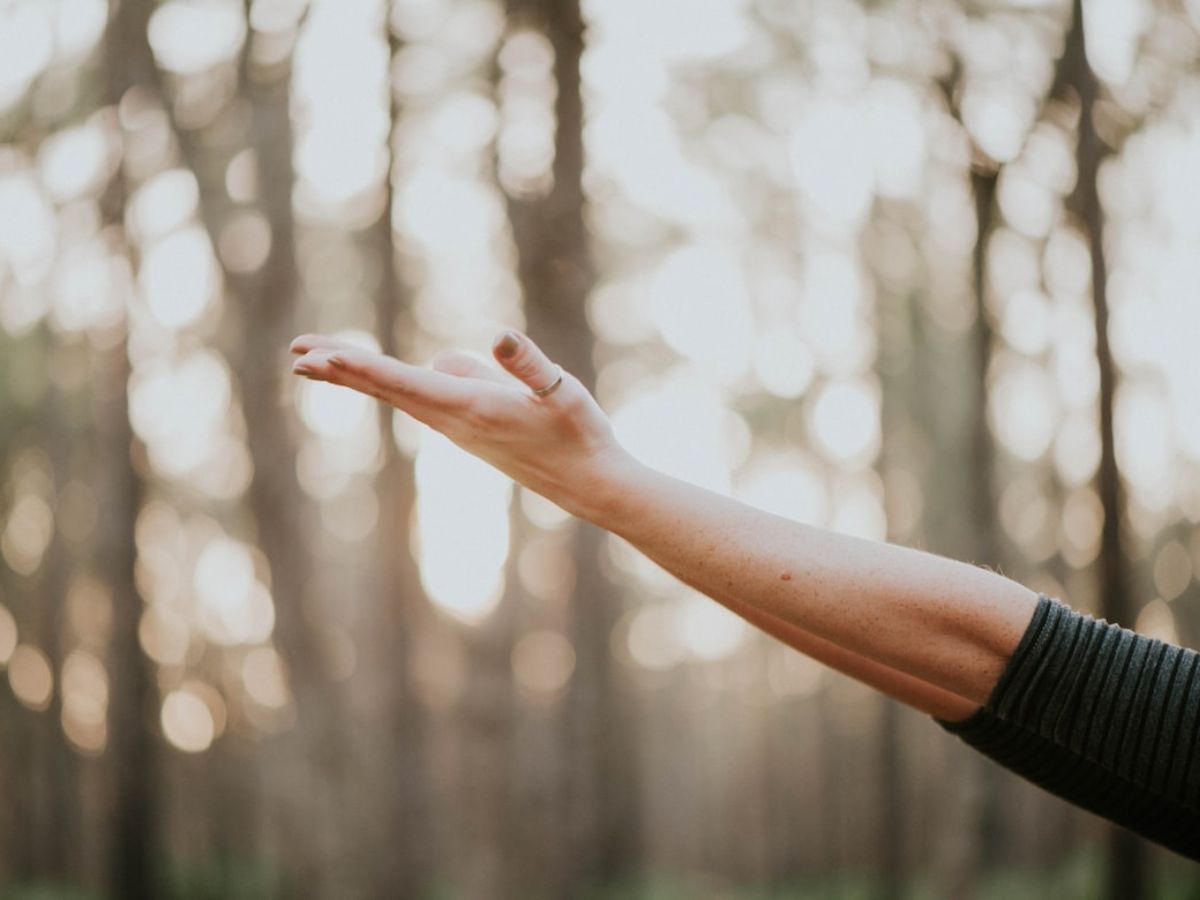 Top Natural Health Solutions to Improve Your Daily Wellness Routine